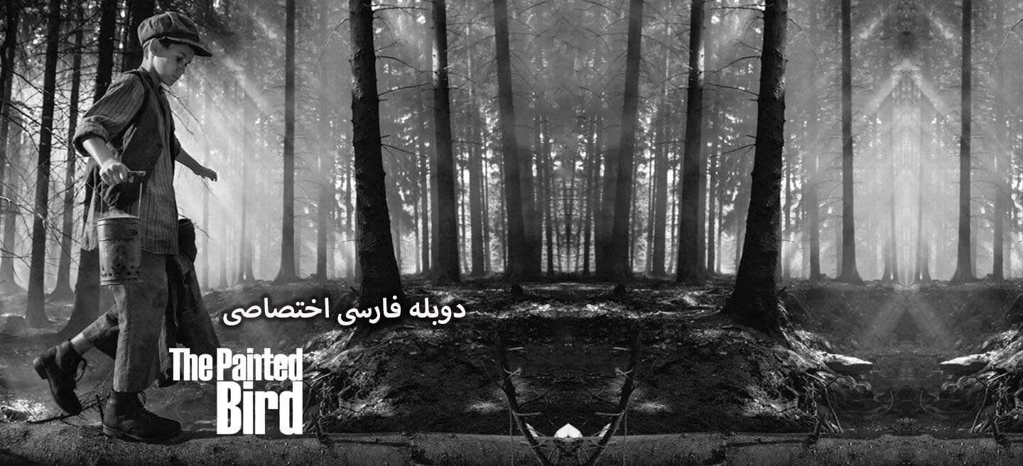 پرنده رنگین