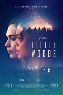 دانلود فیلم جنگل کوچک - Little Woods (2018)