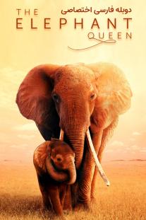 دانلود فیلم ملکه فیل - The Elephant Queen (2019)