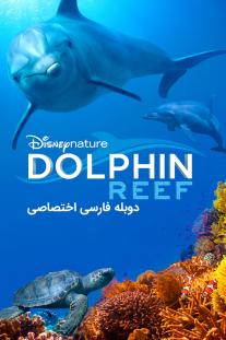 دانلود فیلم صخره دلفین - Dolphin Reef (2018)