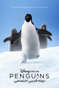 دانلود فیلم پنگوئن‌ها - Penguins (2019)