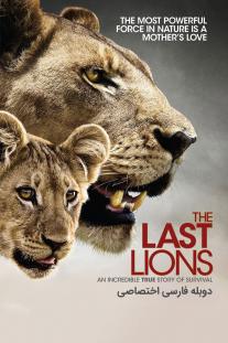دانلود فیلم آخرین شیرها - The Last Lions