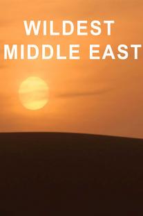  دانلود سریال حیات وحش خاورمیانه - Wildest Middle East