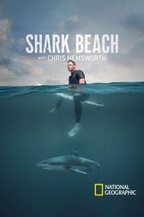 دانلود فیلم ساحل کوسه با کریس همسورث - Shark Beach with Chris Hemsworth