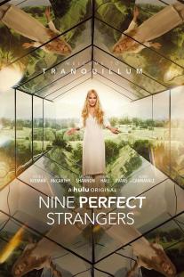 دانلود سریال نه غریبه کامل - Nine Perfect Strangers