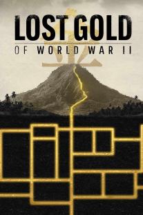 دانلود رایگان سریال گنج گم شده ی جنگ جهانی دوم - Lost Gold of World War 2 با زیرنویس فارسی