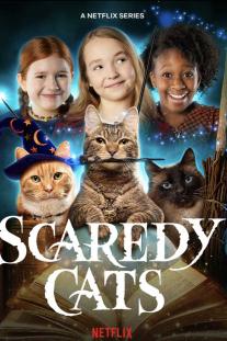  دانلود سریال گربه های ترسو - Scaredy Cats