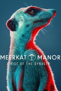  دانلود سریال قلمرو میرکات ها: آغاز سلسله - Meerkat Manor: Rise of the Dynasty