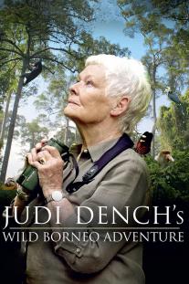  دانلود سریال ماجراجویی جودی دنچ در حیات وحش برونئو - Judi Dench's Wild Borneo Adventure