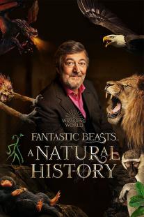  دانلود فیلم جانوران شگفت انگیز: تاریخ طبیعی - Fantastic Beasts: A Natural History