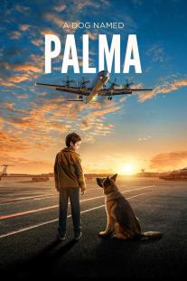  دانلود فیلم پالما - Palma
