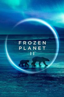 دانلود سریال سیاره یخ زده 2 - Frozen Planet II