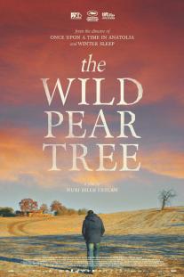 دانلود فیلم درخت گلابی وحشی - The Wild Pear Tree (2018)