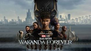 دانلود رایگان فیلم Black Panther: Wakanda Forever با دوبله اختصاصی