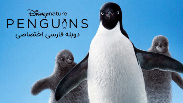 پنگوئنها