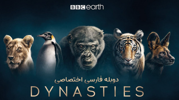بقای نسل ها