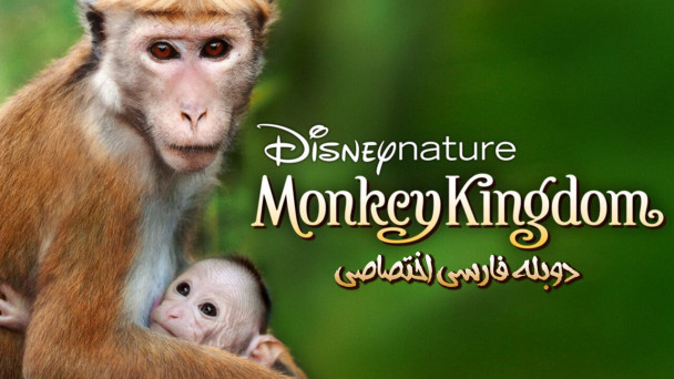 قلمرو میمون ها