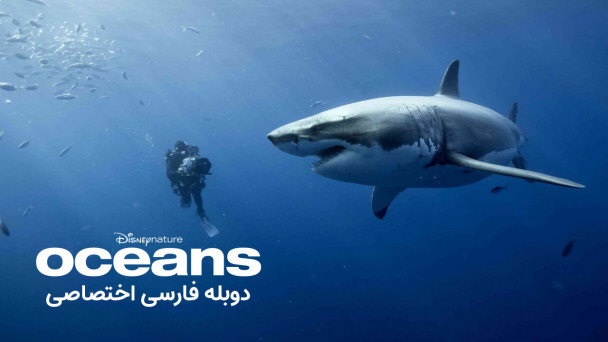 اقیانوس ها