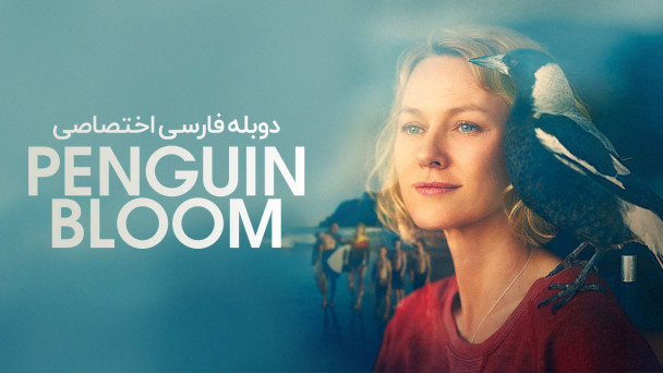 پنگوئن بلوم