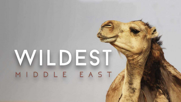 حیات وحش خاورمیانه