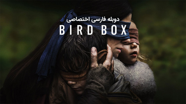 جعبه پرنده